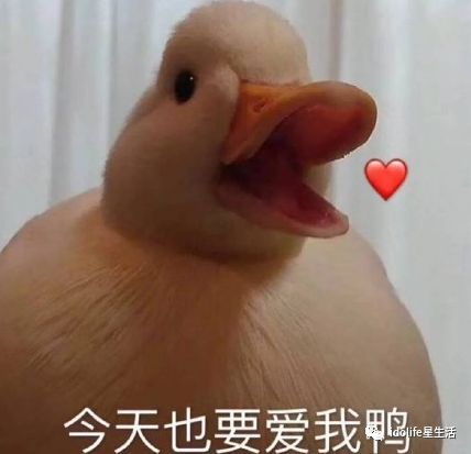 中国这次太强硬,整个西方都怕了,不敢不从!‘太阳成集团tyc7111cc’