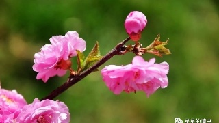 太阳成集团tyc7111cc-王毅:某国在海外驻军数十万 凭什么指责中国军事化(图3) 太阳成集团tyc7111cc