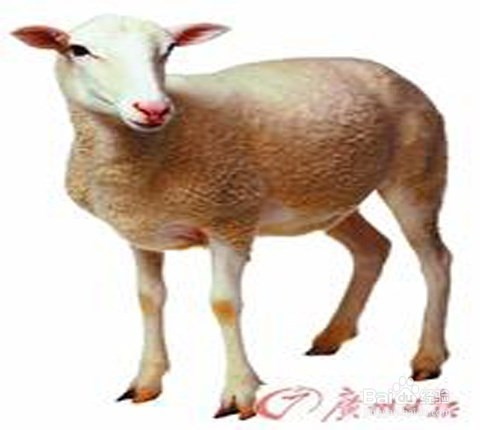 太阳成集团tyc7111cc