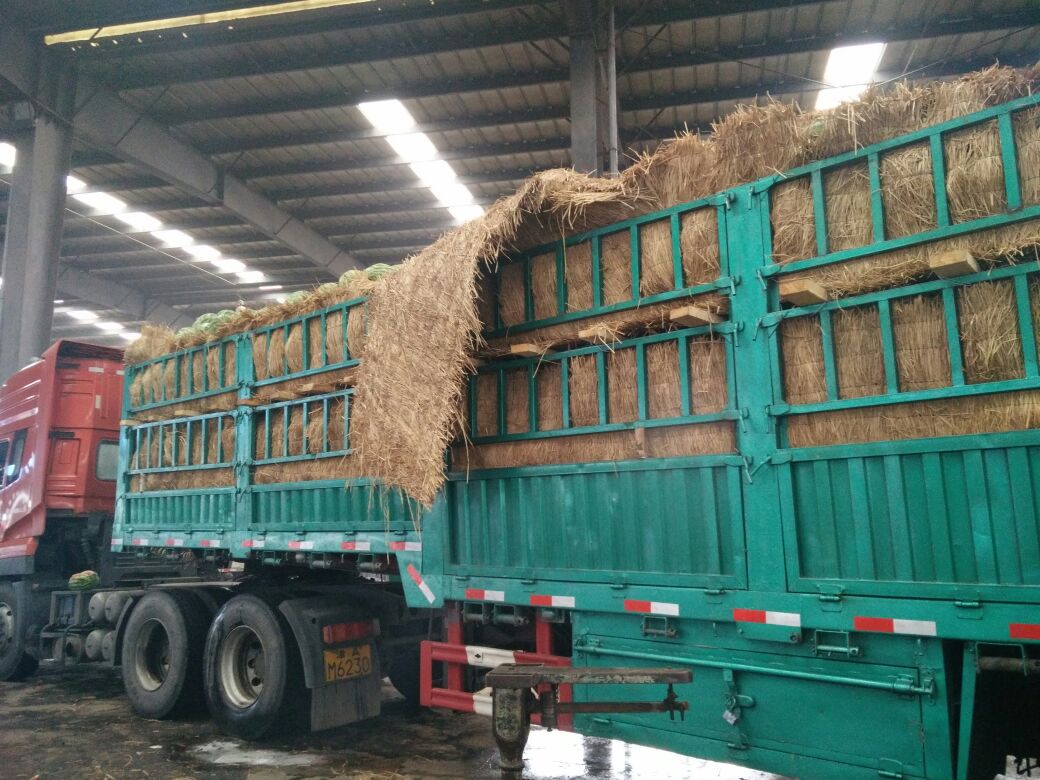 铁路货运改革显露囧点:太阳成集团tyc7111cc(图2) 太阳成集团tyc7111cc