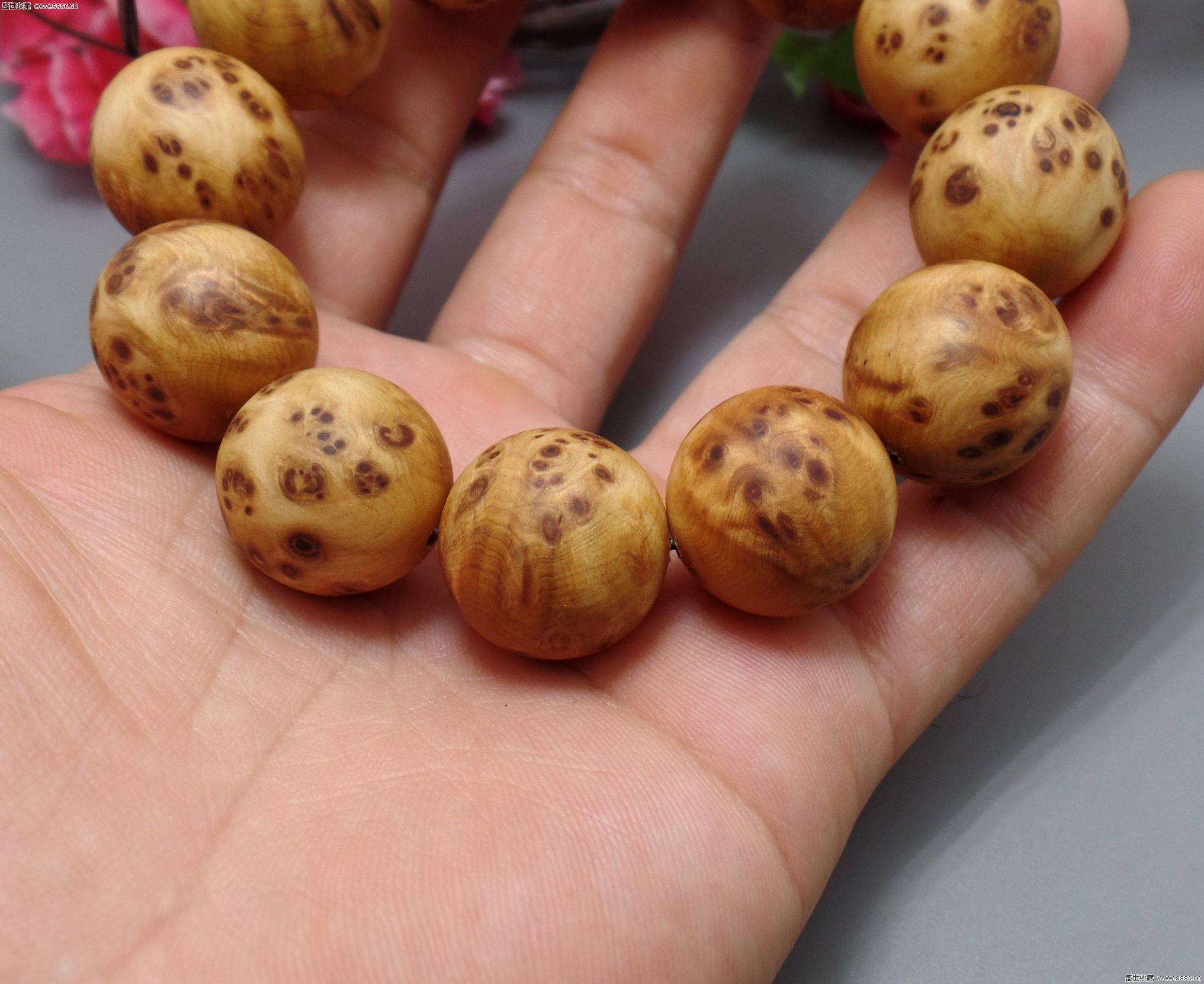 太阳成集团tyc7111cc