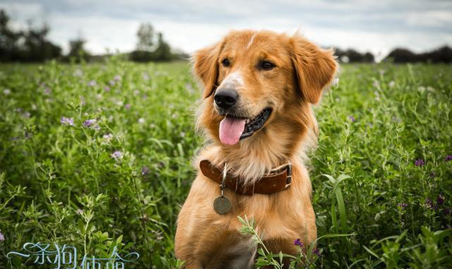 ‘太阳成集团tyc7111cc’东风17导弹具备多次变轨能力速度或达每秒6800米