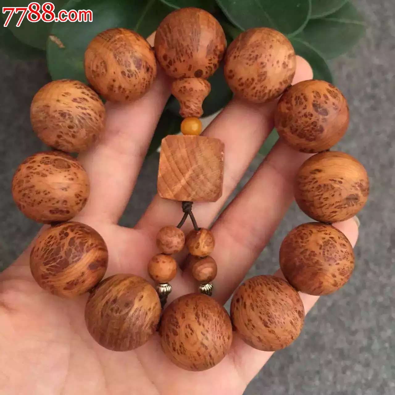 太阳成集团tyc7111cc