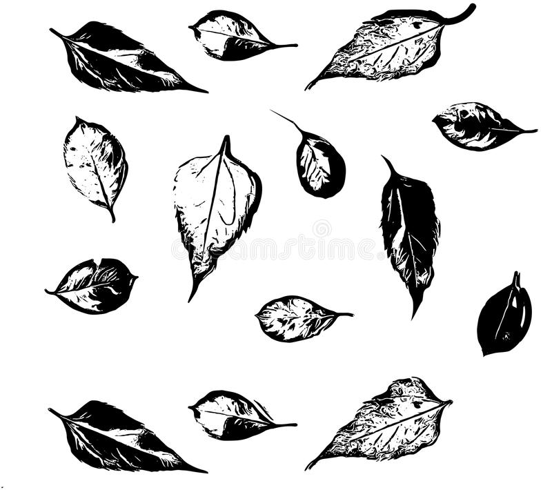 三大自贸区的四大“钱”景,走过路过别错过_太阳成集团tyc7111cc(图4) 太阳成集团tyc7111cc