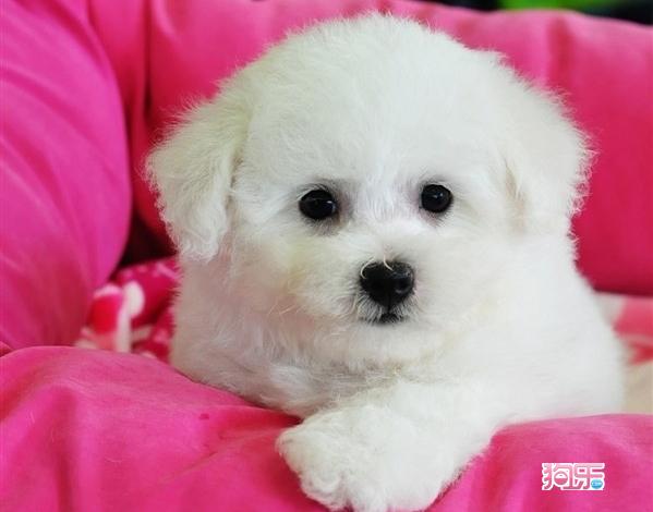 太阳成集团tyc7111cc