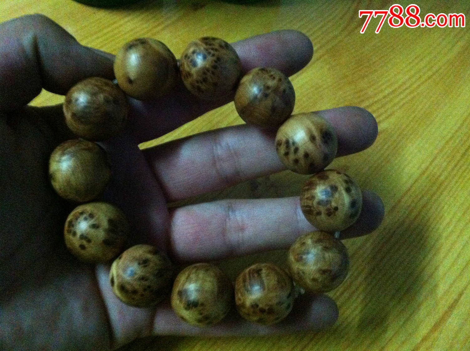 太阳成集团tyc7111cc