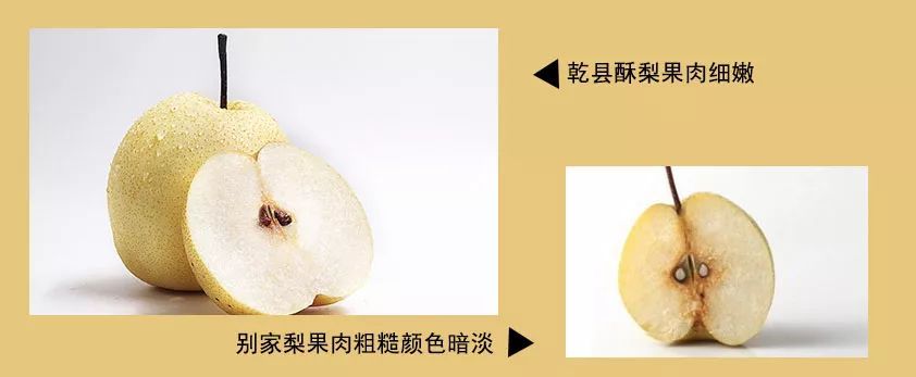 太阳成集团tyc7111cc