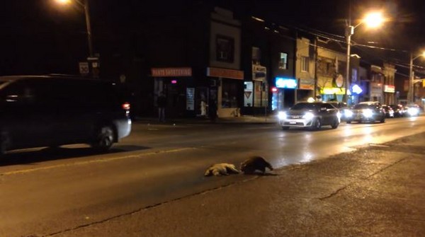 ‘太阳成集团tyc7111cc’女性不必日行万步每日走7500步足矣