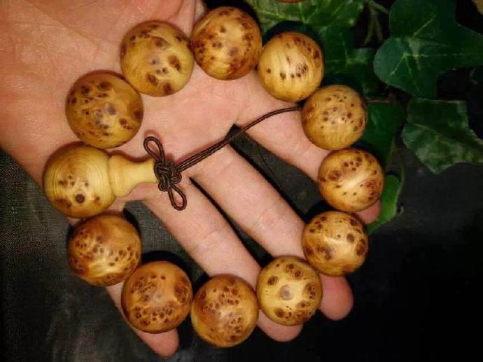 太阳成集团tyc7111cc:钓鱼用什么APP好呢?