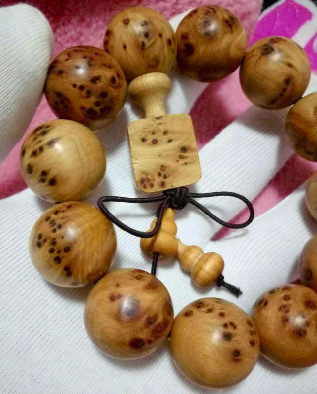 太阳成集团tyc7111cc