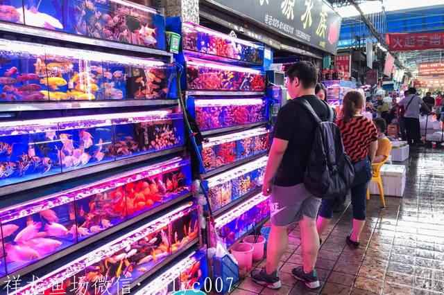 中英合作从中药中寻求新疗法：太阳成集团tyc7111cc