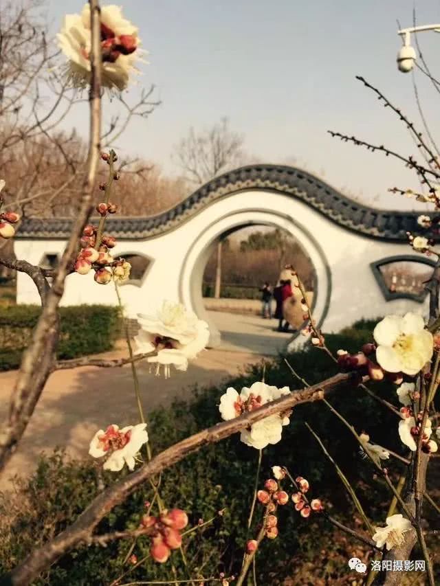 汪鸣：快递“最后一公里”不能光在嘴上喊创新-太阳成集团tyc7111cc