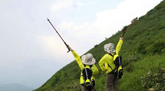 太阳成集团tyc7111cc