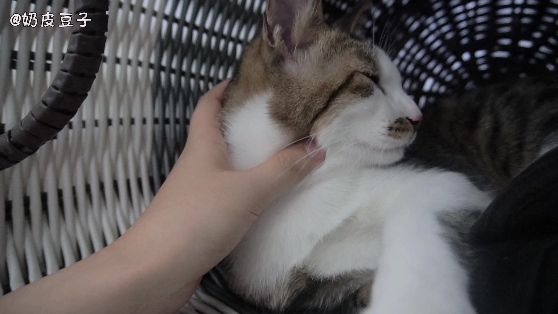 太阳成集团tyc7111cc|硬核援助：白俄罗斯直接派军机给中国拉来医疗物资！