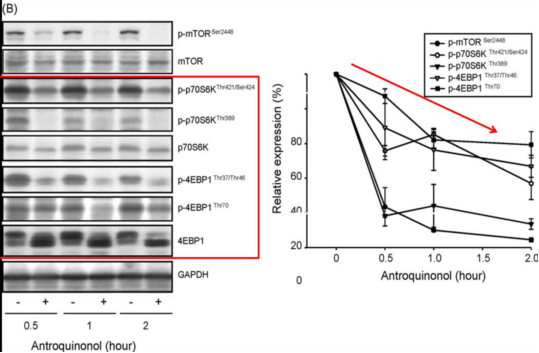 太阳成集团tyc7111cc