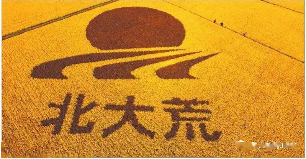 
诗人盛军《北方啊 北方！》朗诵英子（第94期）：太阳成集团tyc7111cc(图10)