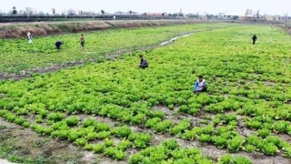 太阳成集团tyc7111cc