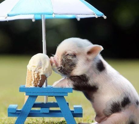 太阳成集团tyc7111cc-新进出境快件监管办法有望年中出台解决通关难题