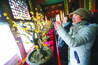 “太阳成集团tyc7111cc”江西省规范和优化城市配送车辆通行管理工作意见出台