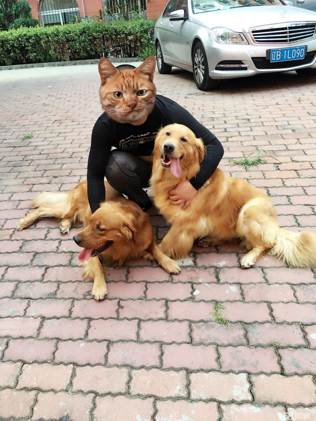 太阳成集团tyc7111cc-新进出境快件监管办法有望年中出台解决通关难题(图3) 太阳成集团tyc7111cc