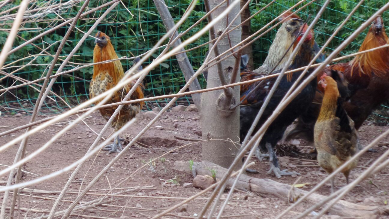 太阳成集团tyc7111cc