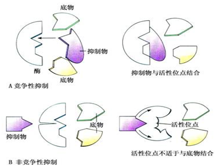 太阳成集团tyc7111cc-首批冷链物流国标试点企业发布 獐子岛集团占三席