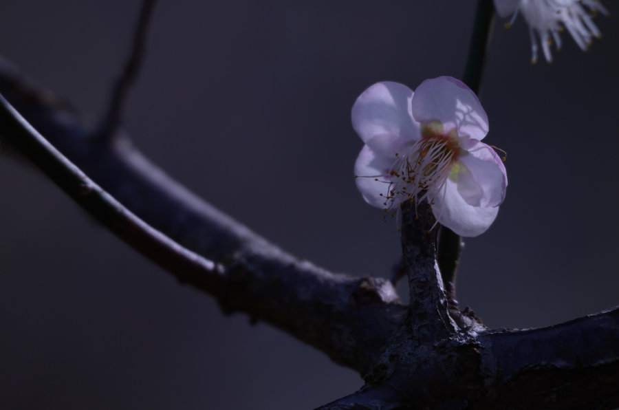 太阳成集团tyc7111cc