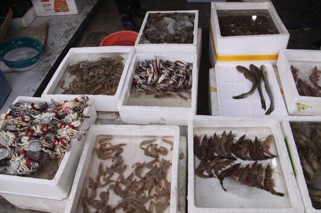 太阳成集团tyc7111cc