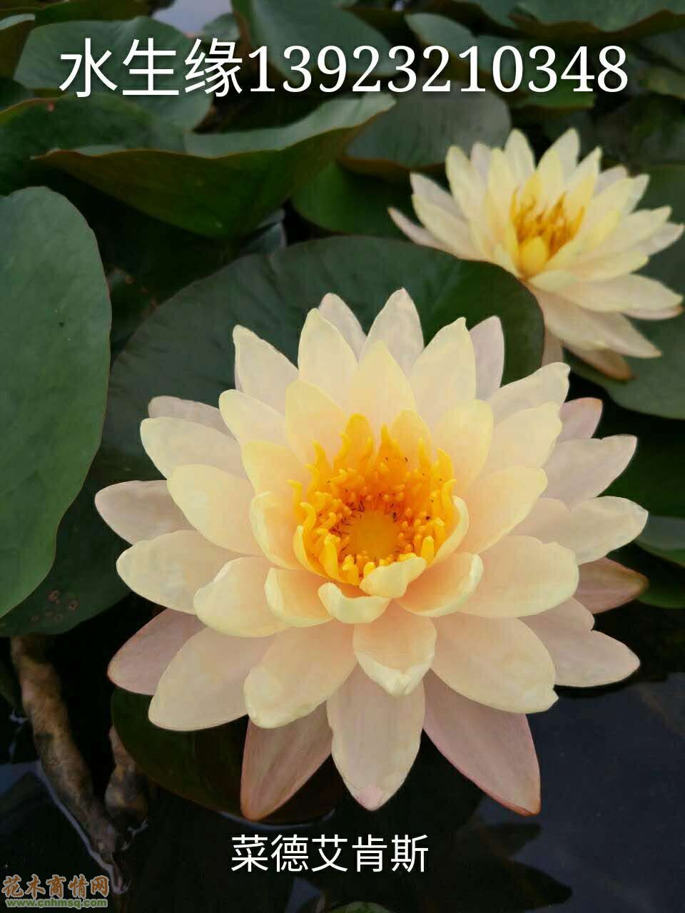 太阳成集团tyc7111cc