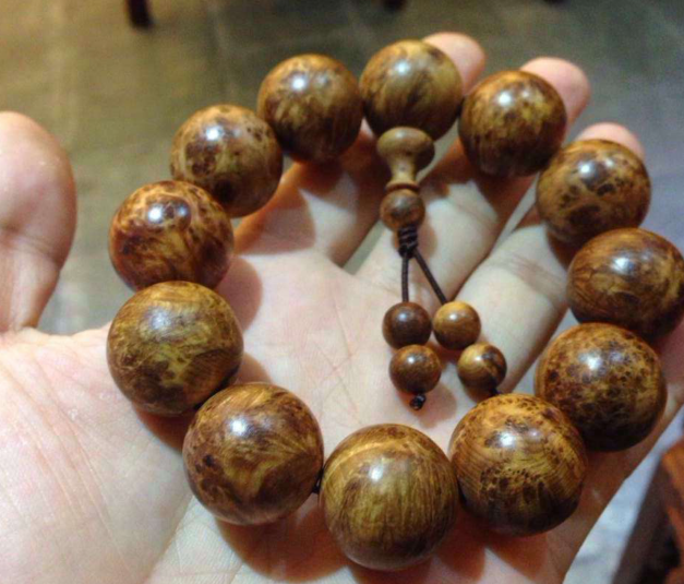 太阳成集团tyc7111cc