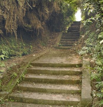 太阳成集团tyc7111cc