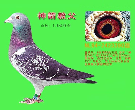 太阳成集团tyc7111cc