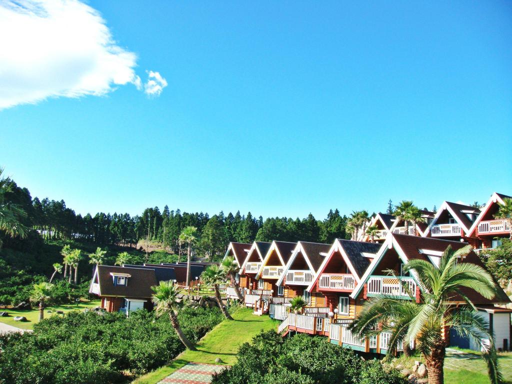 致敬当代骑侠——7月4日,是你们的节日:太阳成集团tyc7111cc(图1) 太阳成集团tyc7111cc