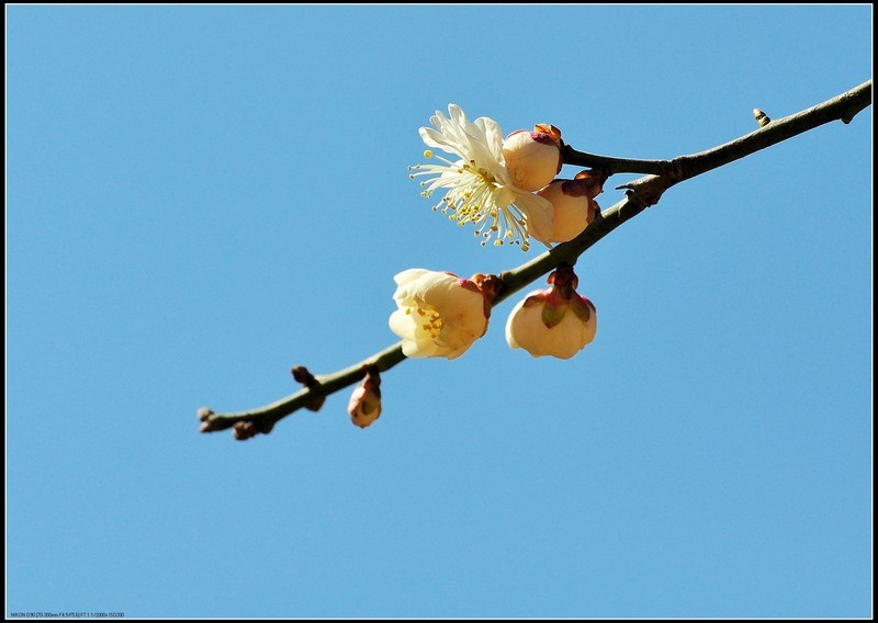 太阳成集团tyc7111cc