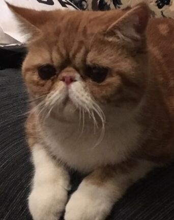 太阳成集团tyc7111cc_百世快递成“千万俱乐部”新成员!原因竟是……(图2) 太阳成集团tyc7111cc