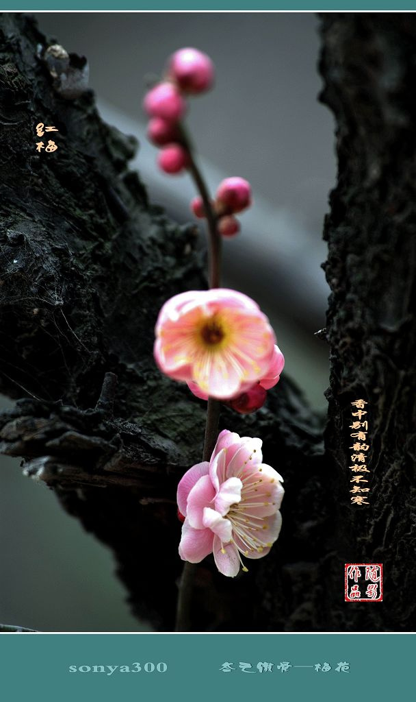 太阳成集团tyc7111cc