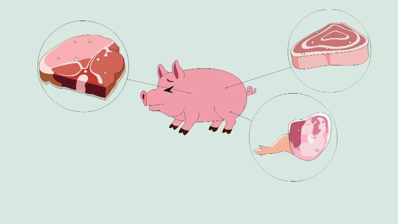 “双12”来了, 快递公司称“压力不大”-太阳成集团tyc7111cc(图1) 太阳成集团tyc7111cc