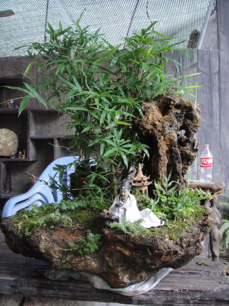 太阳成集团tyc7111cc