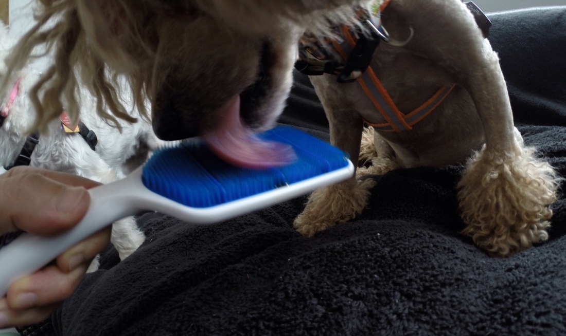 太阳成集团tyc7111cc_评论:马云“菜鸟网络”能否一飞冲天(图1) 太阳成集团tyc7111cc