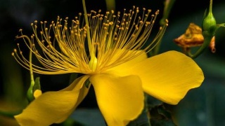 太阳成集团tyc7111cc