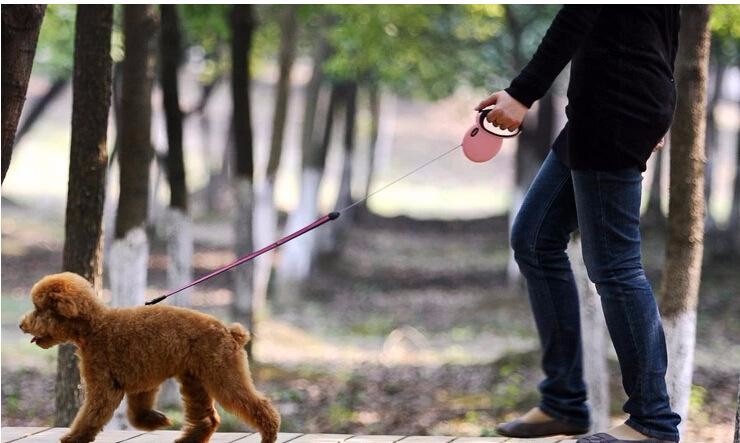 甲流康复者血浆能救其他患者_太阳成集团tyc7111cc