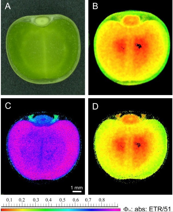 ‘太阳成集团tyc7111cc’