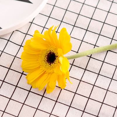 太阳成集团tyc7111cc