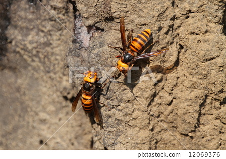 美众院通过决议限制总统对伊朗动武被指不具约束力‘太阳成集团tyc7111cc’