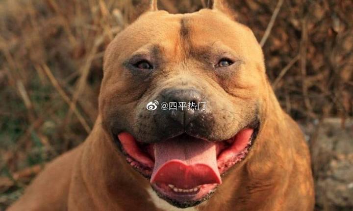 太阳成集团tyc7111cc