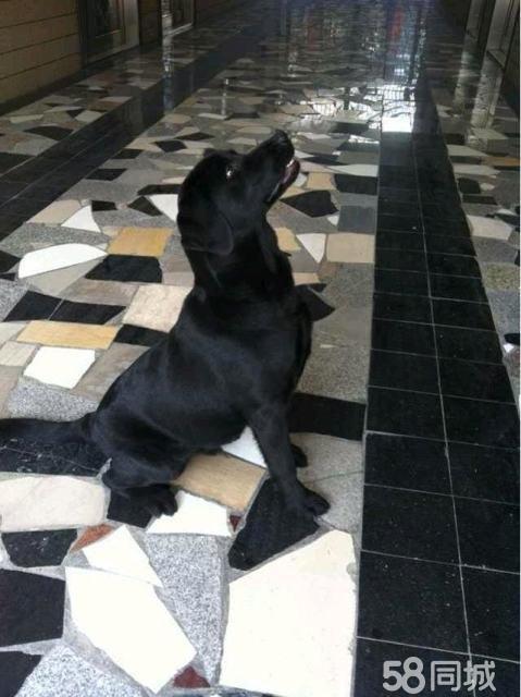 “太阳成集团tyc7111cc”医生给老太开胃痛处方：暂停带孙子一个月