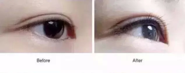 太阳成集团tyc7111cc