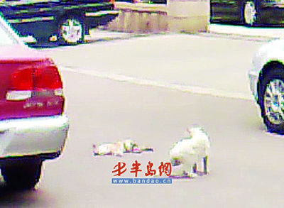 太阳成集团tyc7111cc
